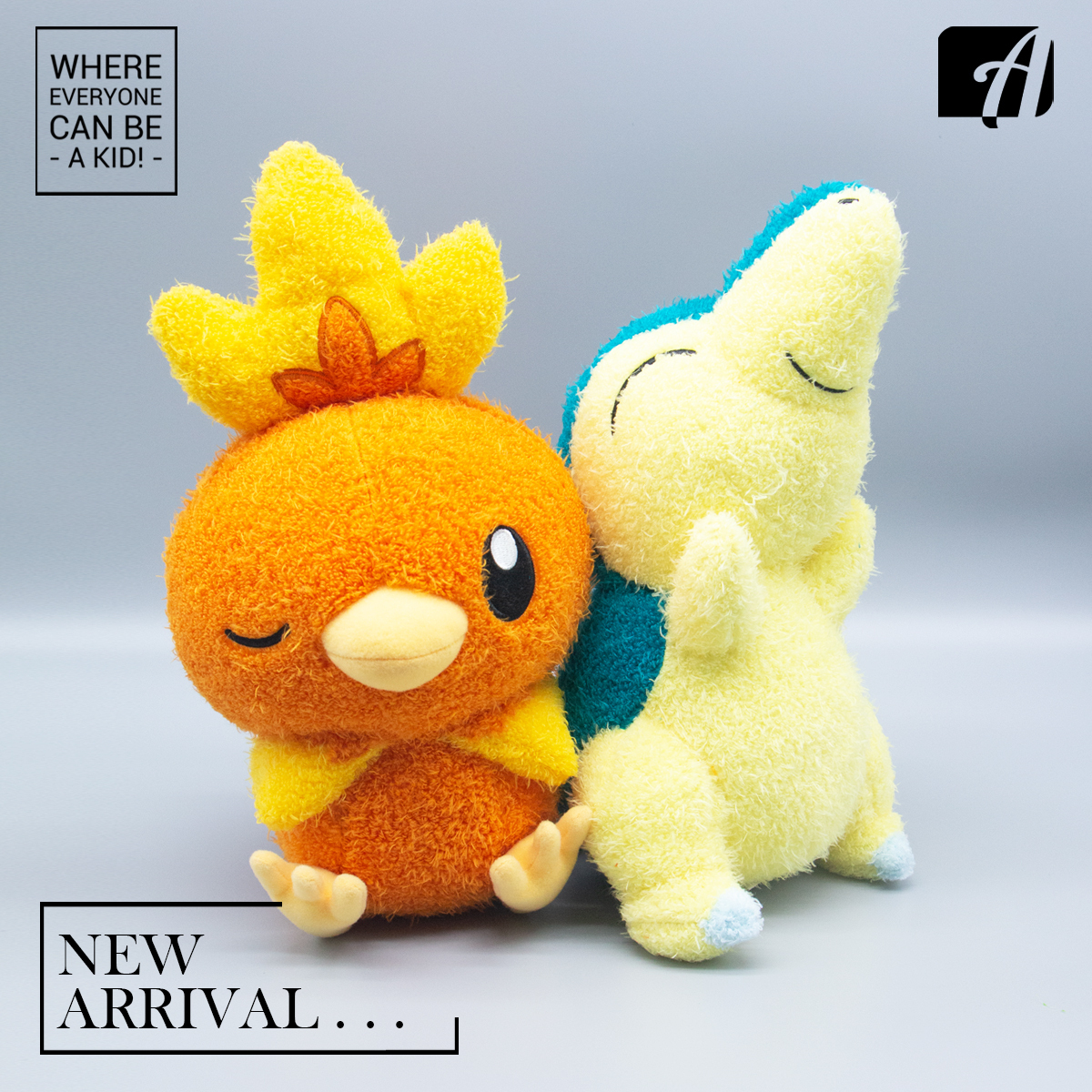 POKEMON Big Plush – Cyndaquil . Torchic –